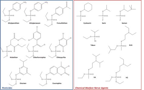 are many insecticides chemically similar to nerve agents